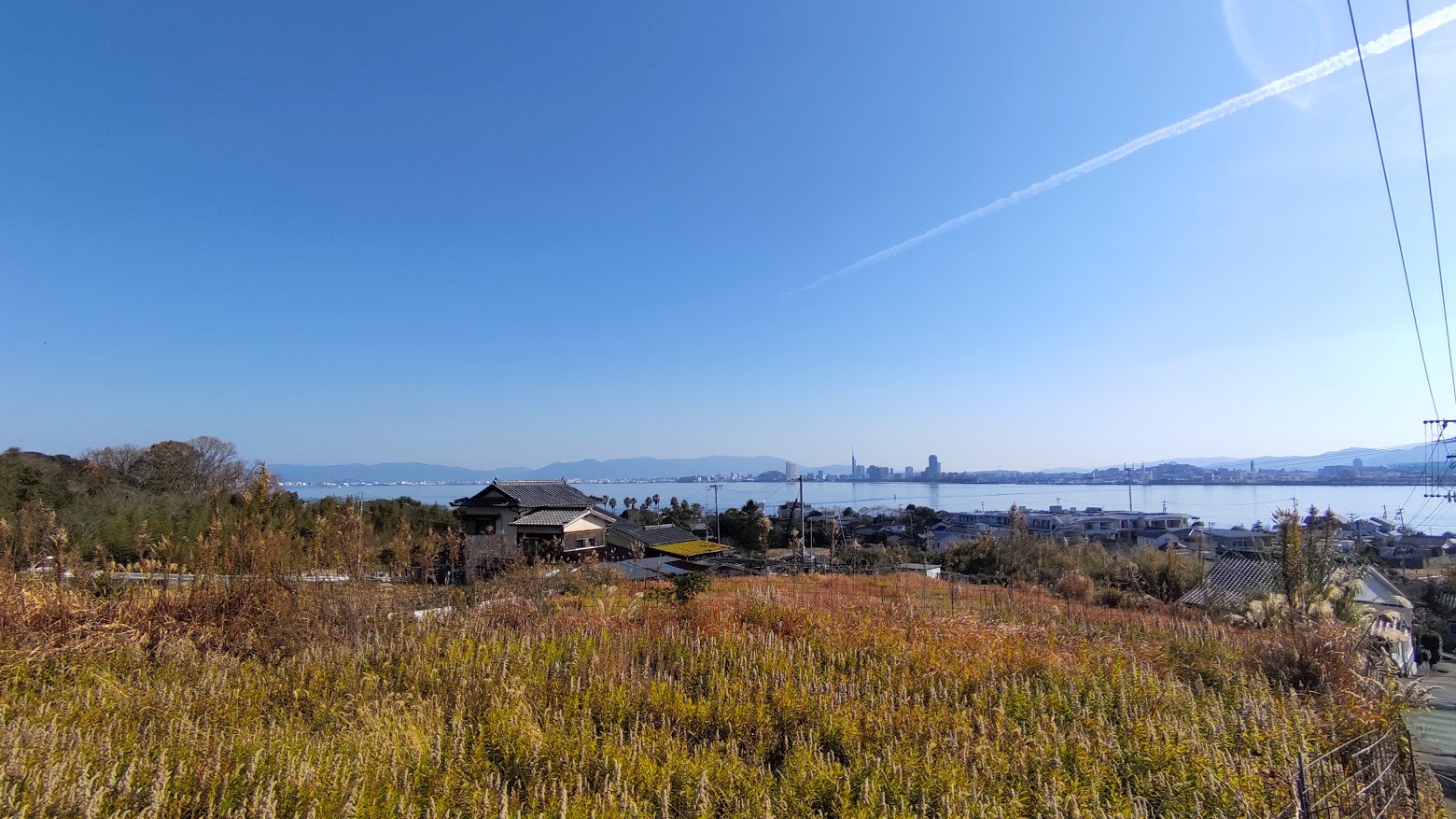 2021/1/5 今日の島暮らし_f0201157_12072206.jpg