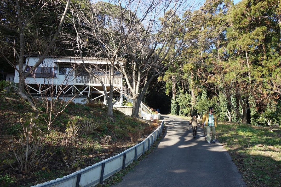 2021/1/5 今日の島暮らし_f0201157_12072294.jpg