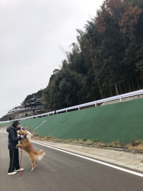 激しく動揺。_a0394574_23353115.jpeg