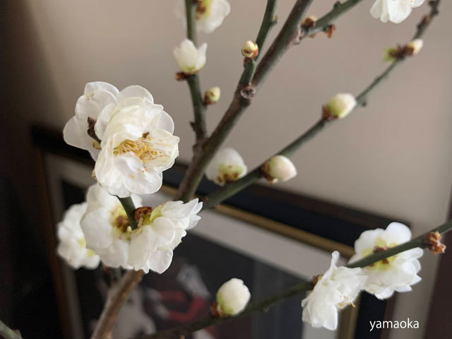 今年の漢字一文字は ふらんす堂編集日記 By Yamaoka Kimiko 今年の漢字一文字は ふらんす堂編集日記 By Yamaoka Kimiko