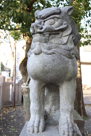 狛犬-坂戸御嶽神社（高津区）_d0183387_22263268.jpg