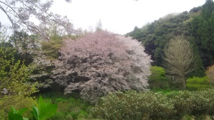 明けましておめでとうございます💕_c0280108_20314287.jpg
