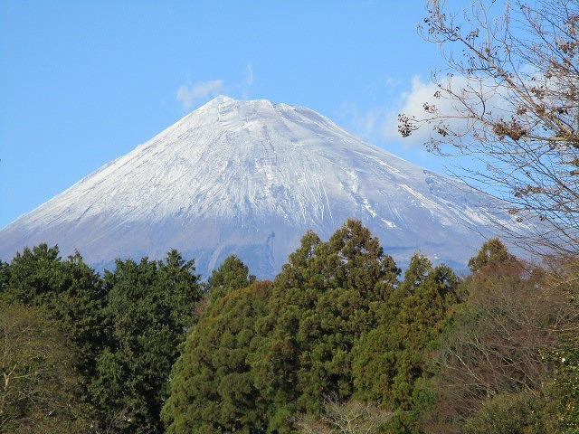 今年の初夢 富士山をバックにしたスポーツクライミングの世界大会_f0141310_08132698.jpg