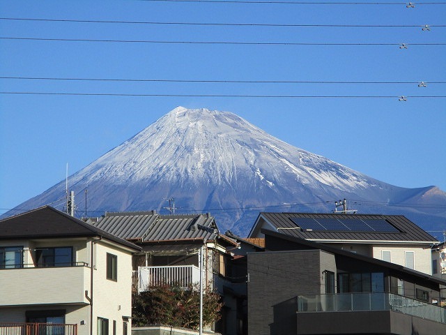 今年の初夢　　富士山をバックにしたスポーツクライミングの世界大会_f0141310_08134883.jpg