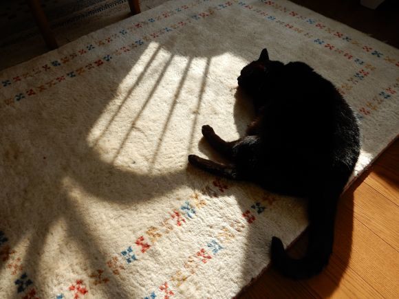 まだまだ真冬日は続きます_c0025115_21372728.jpg