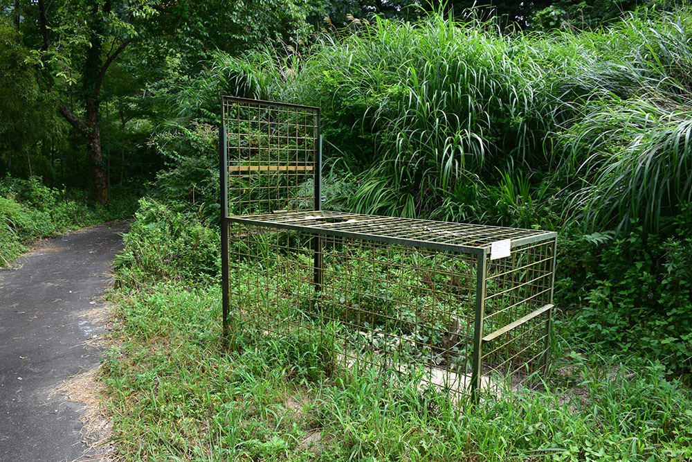 細川ガラシャ隠棲地「味土野」 その3 <味土野ガラシャ大滝>_e0158128_17064724.jpg