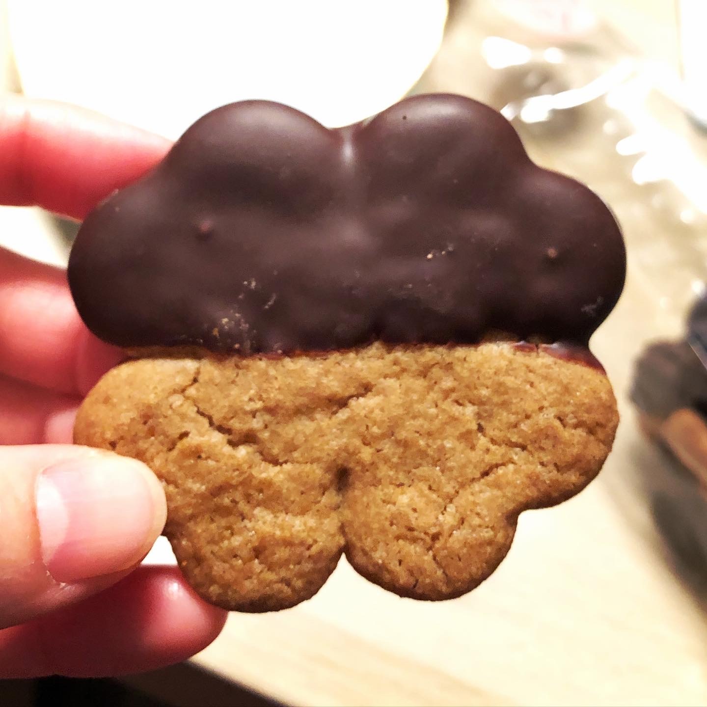 ブリジット・チョコレートで、ベルギーチョコレート三昧 _a0231632_00261979.jpeg