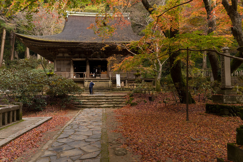 2020紅葉きらめく奈良　室生寺錦秋（前編）_f0155048_22592400.jpg