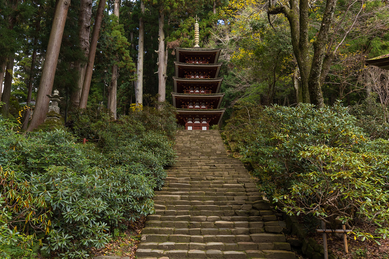 2020紅葉きらめく奈良　室生寺錦秋（前編）_f0155048_23012905.jpg