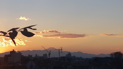 初夢。明日は初歌い!_d0244370_23410002.jpg