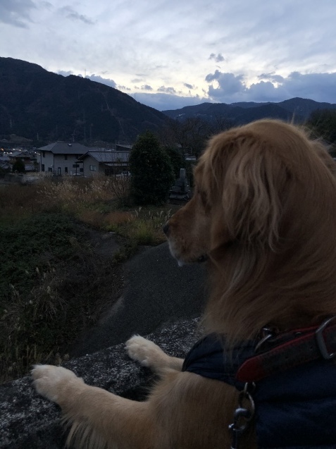 いよいよ、明日から。_a0394574_20054780.jpeg
