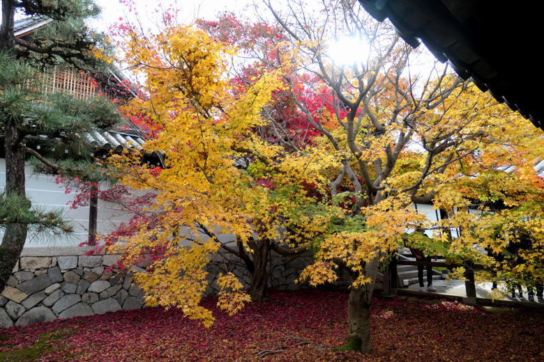 秋の京都 バスツーリング１２ 東福寺２_a0388583_23120492.jpg