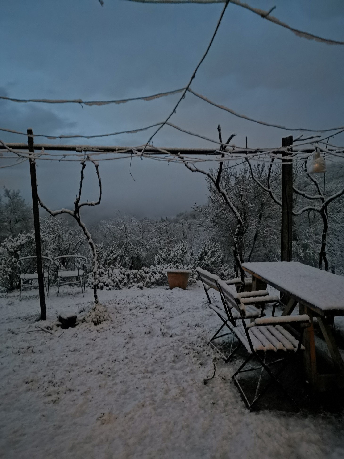初雪_f0106597_18465146.jpg
