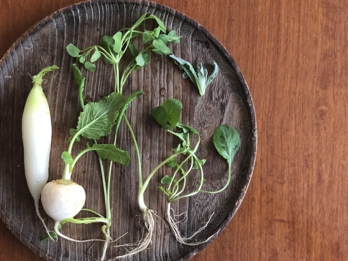 寒中お伺い申し上げます お茶をどうぞ 寒中お伺い申し上げます お茶をどうぞ