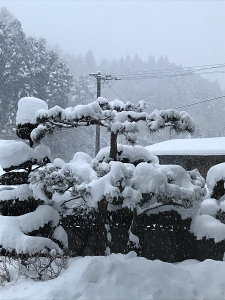 すごい雪！_d0322040_22135007.jpg