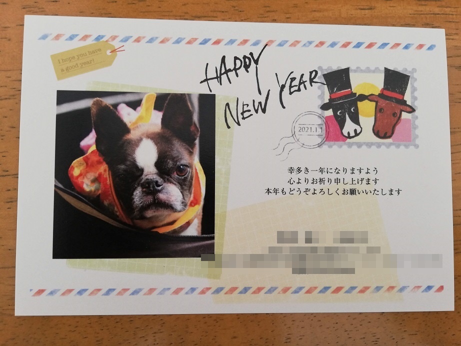 2021年が始まりました_d0155952_12564858.jpg