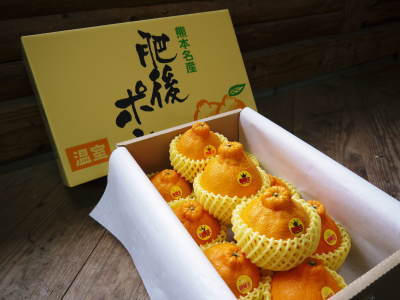 2021年のデコポン(肥後ポン)「不知火」の収穫 樹上完熟デコポン「ひのゆたか」予約販売受付中!その3_a0254656_17170664.jpg