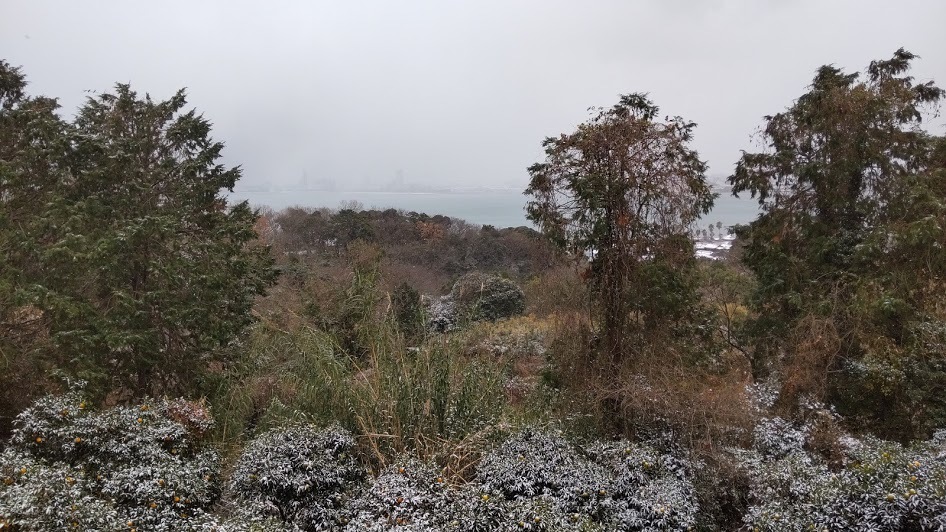 2021/1/7 今日の島暮らし /新学期のはずが、、、_f0201157_16042715.jpg