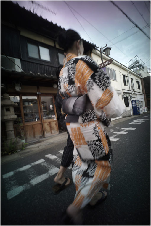 875.01 生き生きと(2020年5月30日ホロゴン15mmF8は勝手知ったる奈良町をのびのび散歩)1 奈良町へ_c0168172_22324014.jpg
