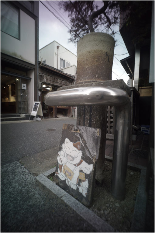 875.01 生き生きと(2020年5月30日ホロゴン15mmF8は勝手知ったる奈良町をのびのび散歩)1 奈良町へ_c0168172_22330470.jpg