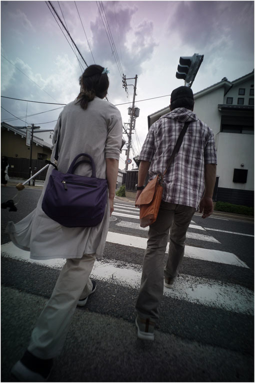 875.01 生き生きと(2020年5月30日ホロゴン15mmF8は勝手知ったる奈良町をのびのび散歩)1 奈良町へ_c0168172_22392080.jpg