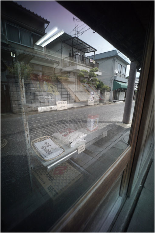 875.01 生き生きと(2020年5月30日ホロゴン15mmF8は勝手知ったる奈良町をのびのび散歩)1 奈良町へ_c0168172_22410200.jpg