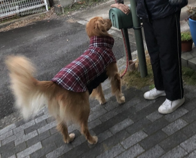寒い！_a0394574_21084545.jpeg