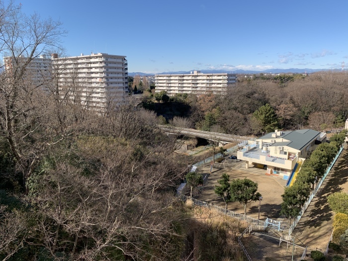 静かなお正月_d0138986_12444642.jpeg