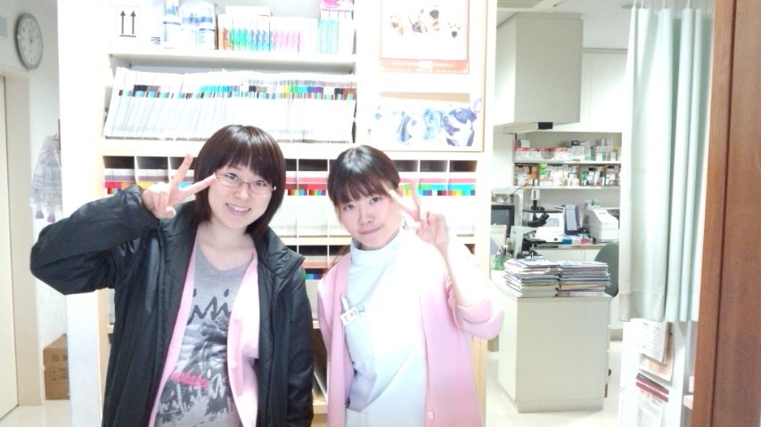 大事なお知らせ_d0178999_19582475.jpeg