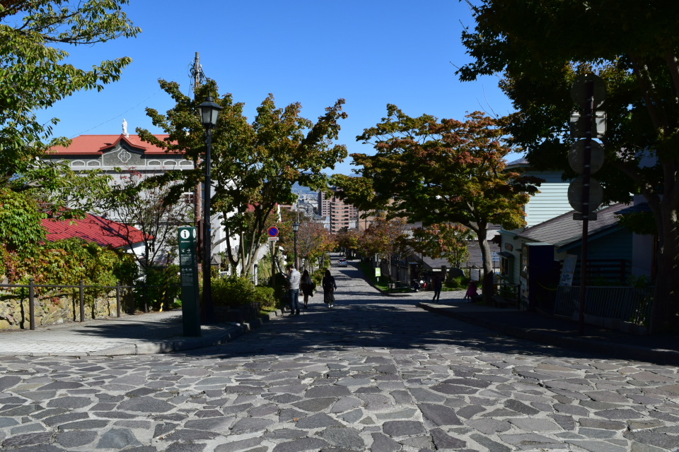 函館市元町の旧亀井喜一郎邸(建築家・関根要太郎作品再見2021)_f0142606_15484923.jpg