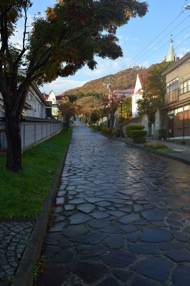 函館市元町の旧亀井喜一郎邸(建築家・関根要太郎作品再見2021)_f0142606_16175284.jpg