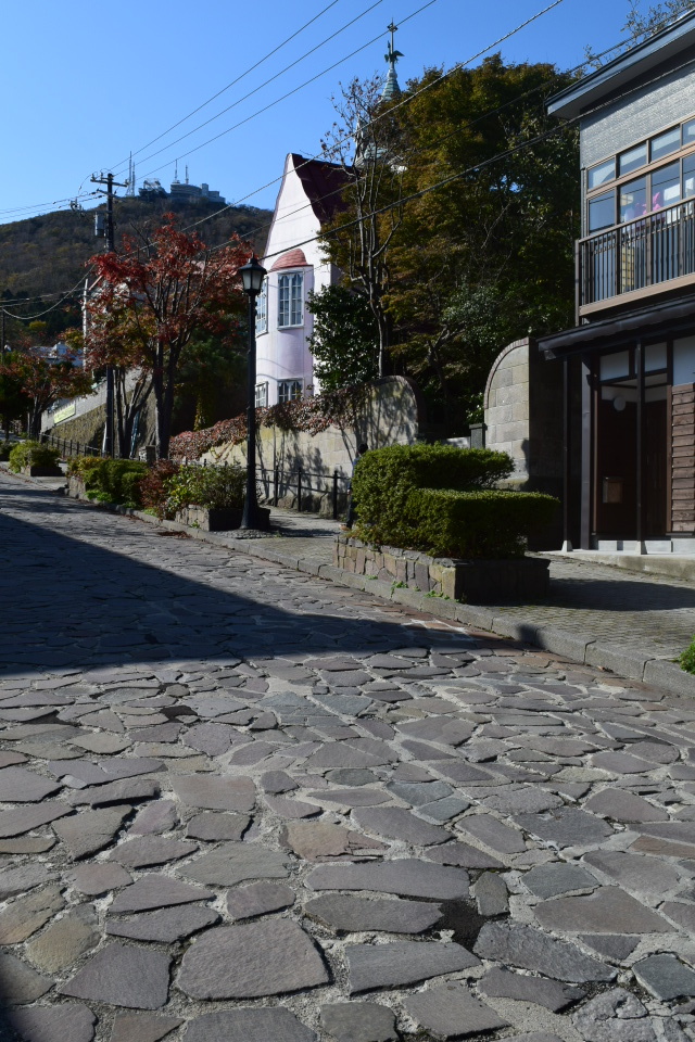 函館市元町の旧亀井喜一郎邸(建築家・関根要太郎作品再見2021)_f0142606_16433906.jpg