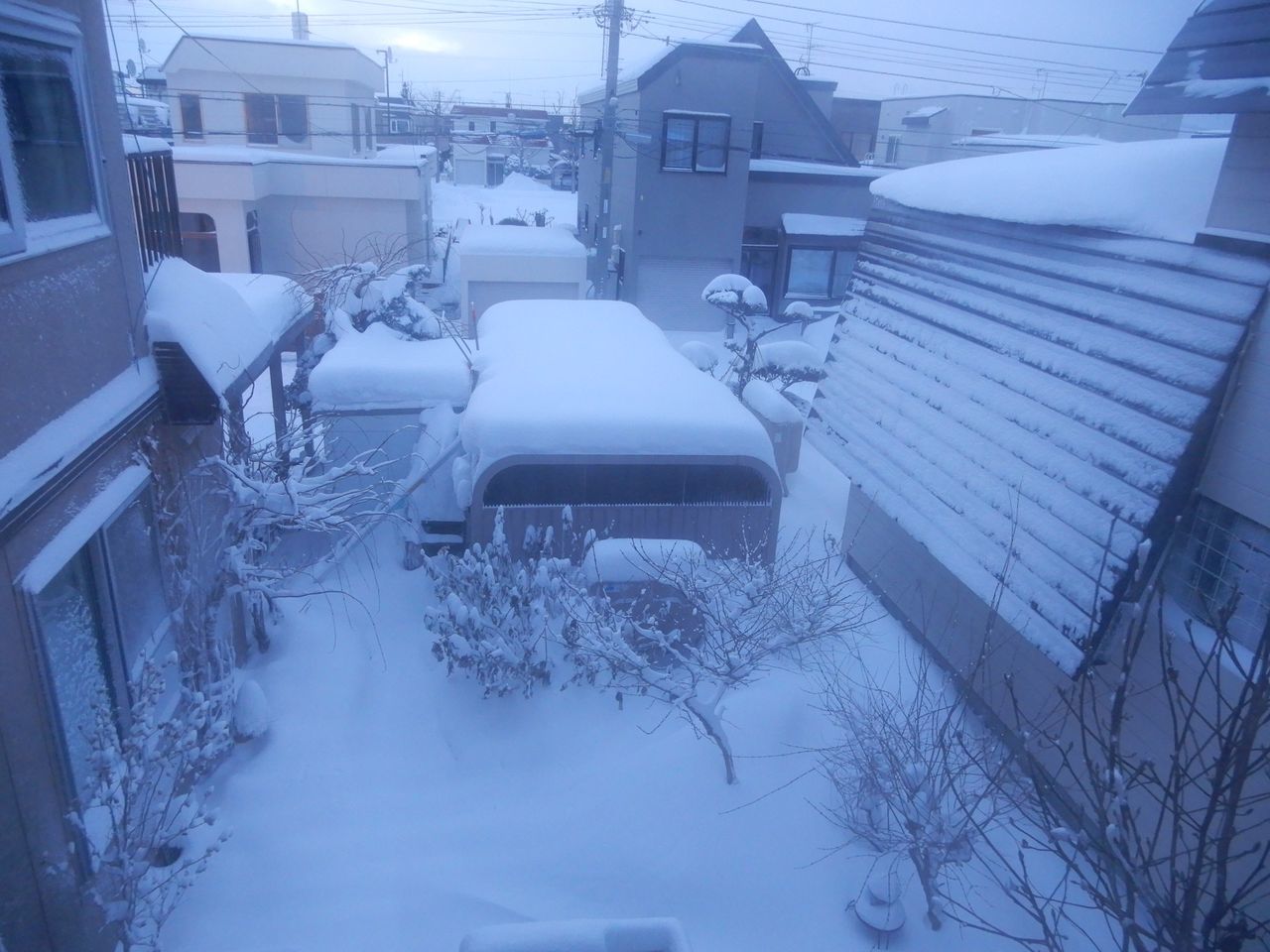 2週間続いた真冬日_c0025115_21422376.jpg