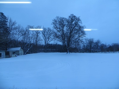 朝から雪が降り続いています_b0405523_17574507.jpg