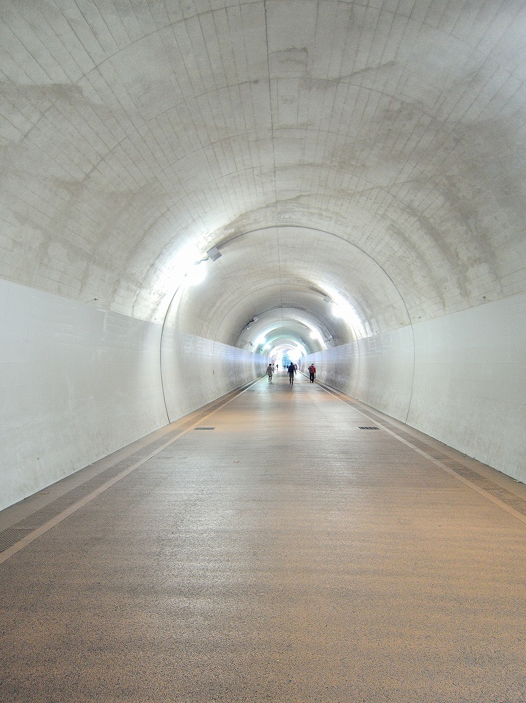 ある風景:東横フラワー緑道 反町 ▶ 横浜 #1_d0393923_23133712.jpg