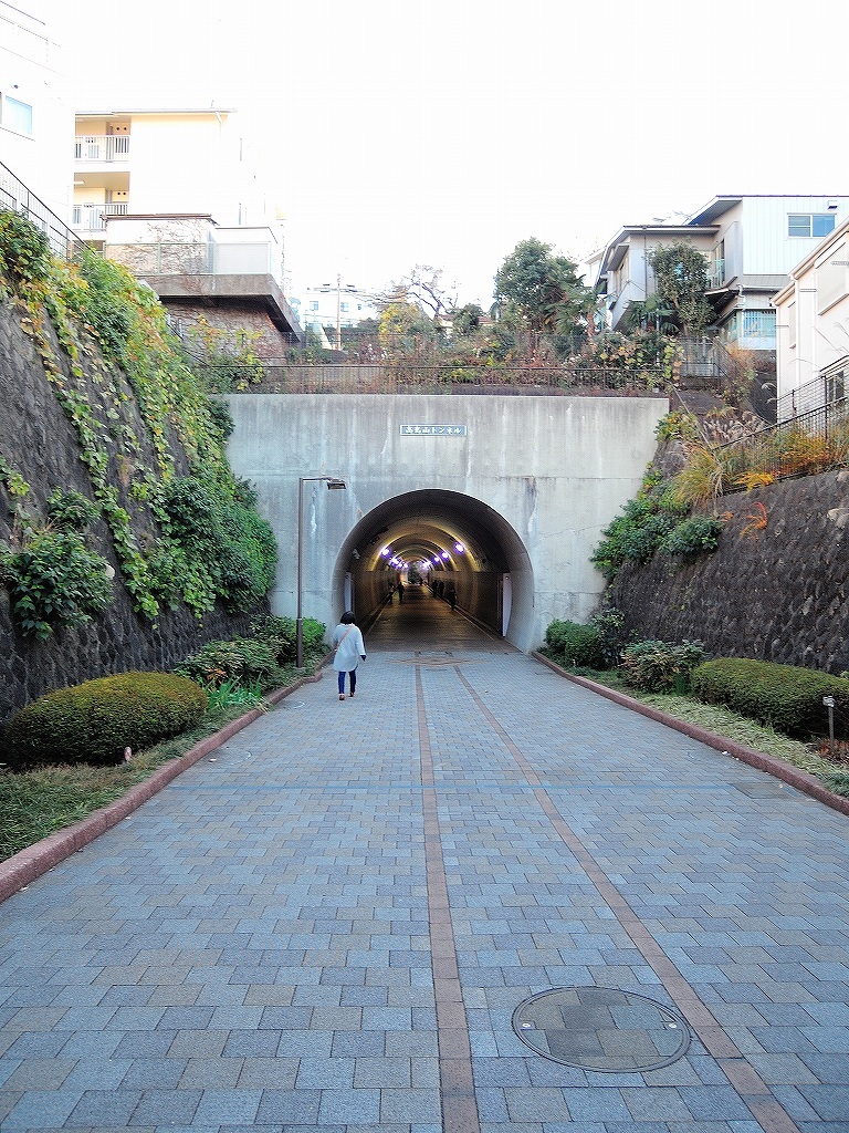 ある風景:東横フラワー緑道 反町 ▶ 横浜 #1_d0393923_23133767.jpg