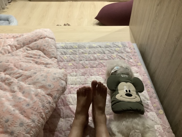寒流來襲_f0057324_22184388.jpeg