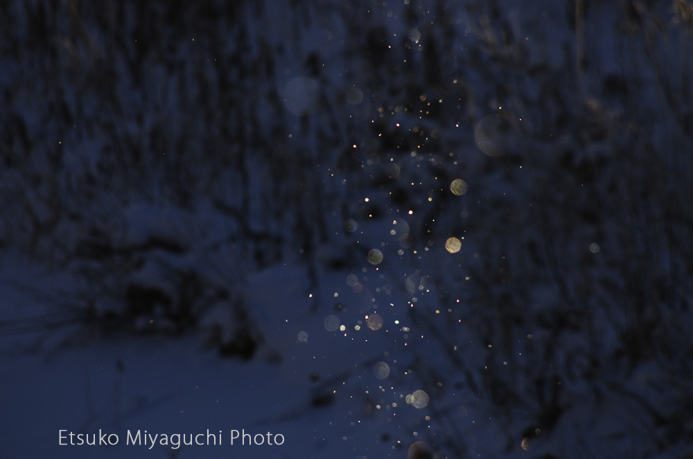 新年 ダイヤモンドダストの朝 Ekkoの Four Seasons 北海道