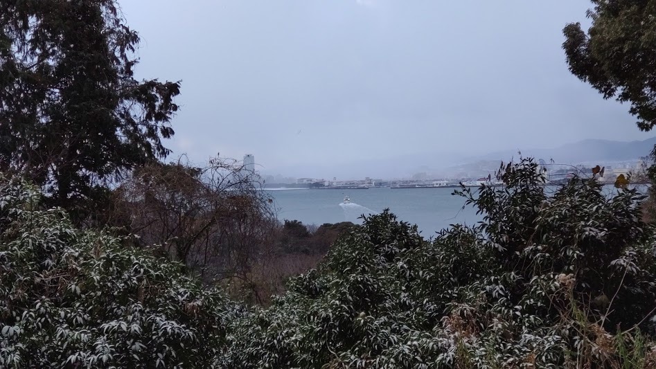2021/1/8 今日の島暮らし/大雪_f0201157_12344414.jpg