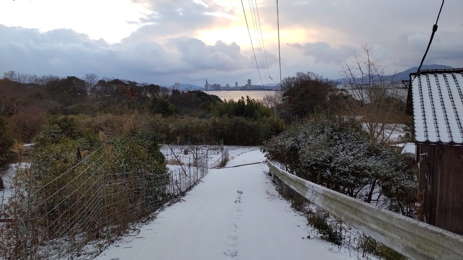 2021/1/8 今日の島暮らし/大雪_f0201157_12344415.jpg