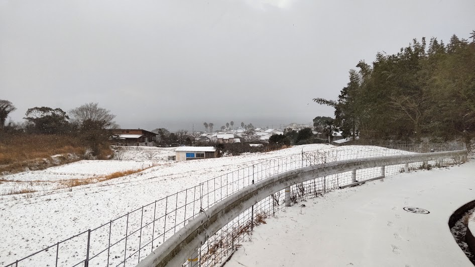2021/1/8 今日の島暮らし/大雪_f0201157_12344449.jpg