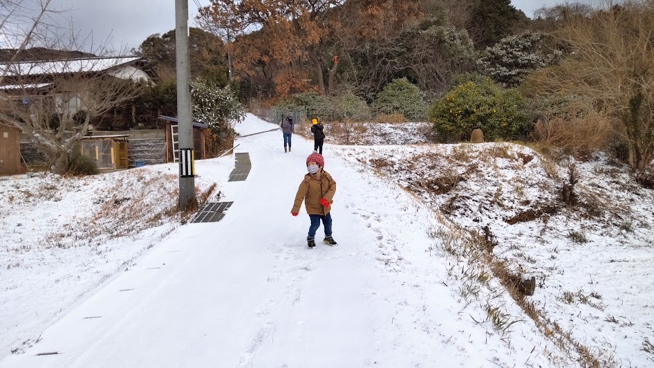 2021/1/8 今日の島暮らし/大雪_f0201157_12344484.jpg