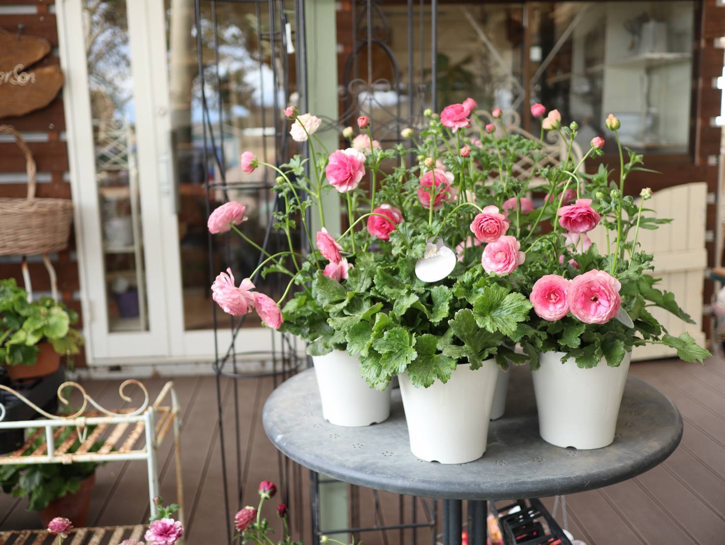 アナーセンの初商い 1月8日 寒 いスタートです 宮崎の花屋 アナーセン