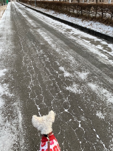 ー11℃_e0008887_13265543.jpg