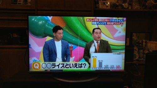 ハヤシライスでTV出演_d0019488_08270664.jpg
