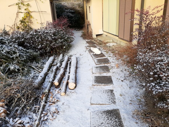 かよいおっと_a0199297_20304820.jpg