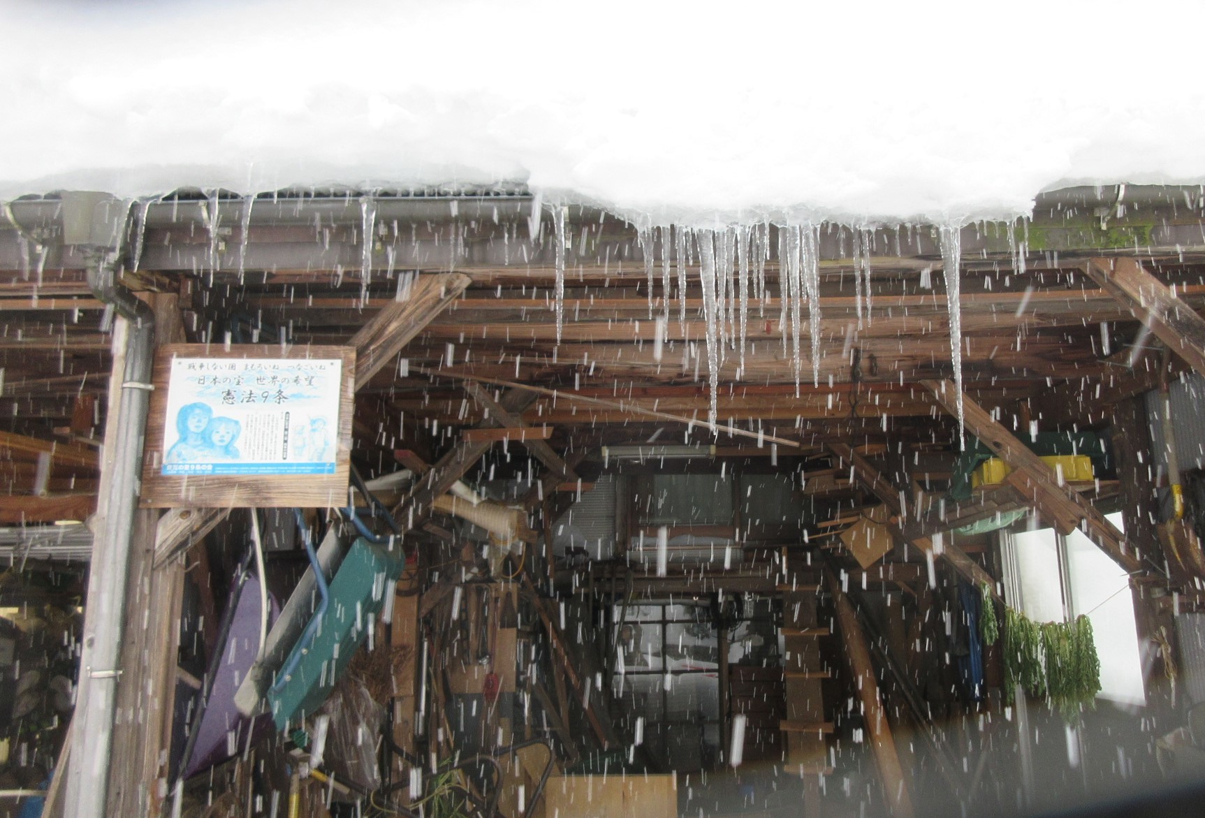 降り続く雪 おしゃべりねこ 降り続く雪 おしゃべりねこ