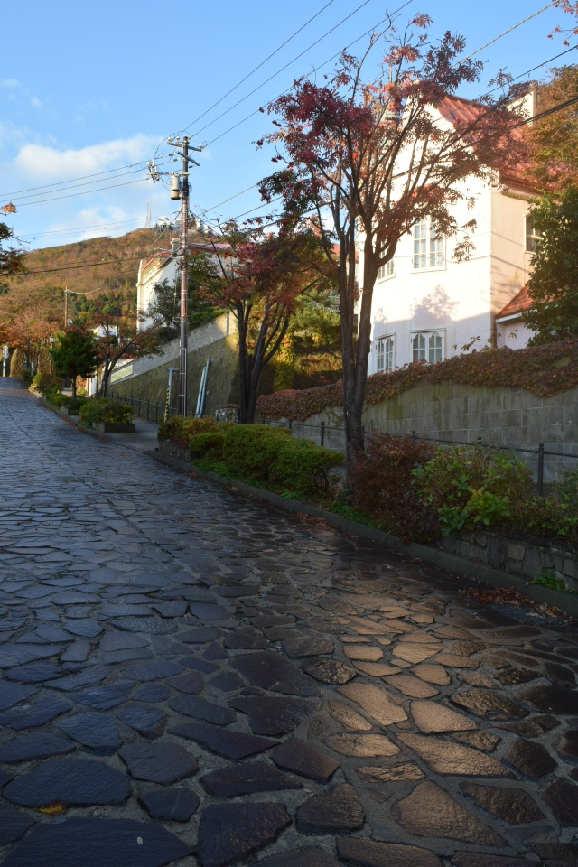 函館市元町の旧亀井喜一郎邸(建築家・関根要太郎作品再見2021)_f0142606_00414081.jpg