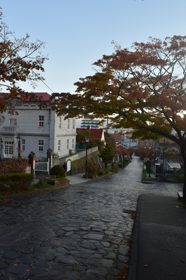 函館市元町の旧亀井喜一郎邸(建築家・関根要太郎作品再見2021)_f0142606_18213815.jpg