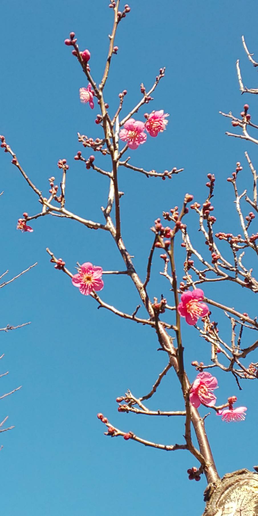 心は軽く、目線は強く_d0171222_12130212.jpeg